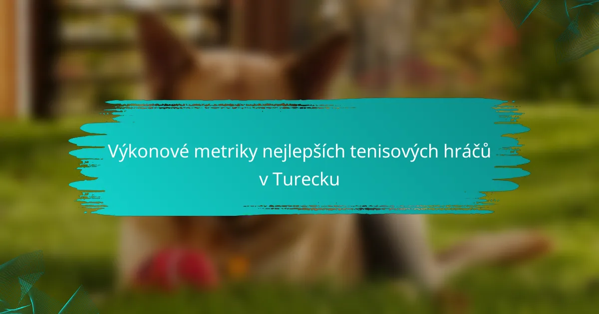Výkonové metriky nejlepších tenisových hráčů v Turecku